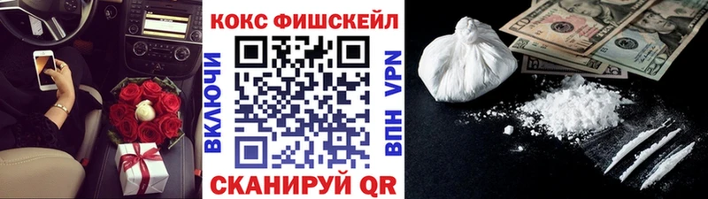 COCAIN Columbia  купить закладку  Камышлов 