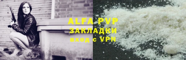 мяу мяу мука Иннополис