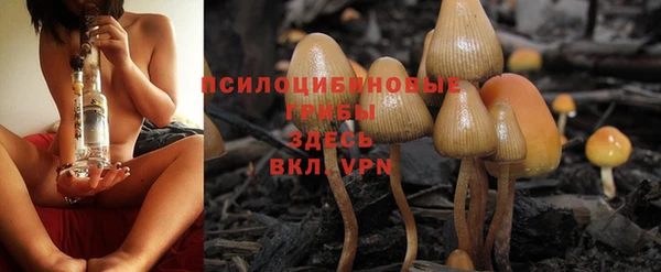 мяу мяу мука Иннополис