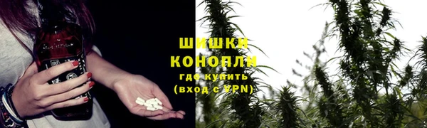 мяу мяу мука Иннополис