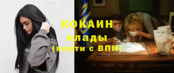 винт Инта