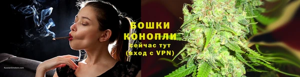 винт Инта