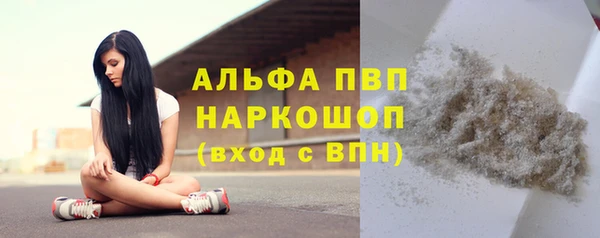 мяу мяу мука Иннополис