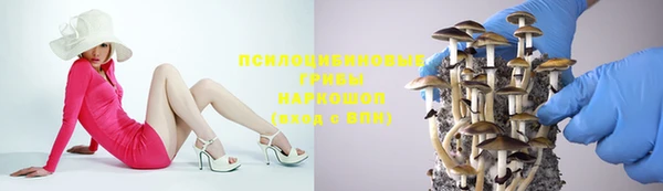 гидропоника Инсар