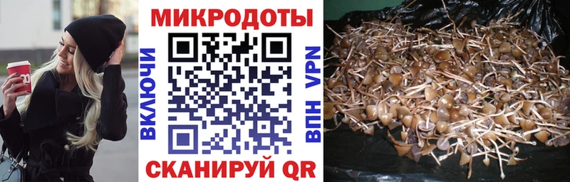 продажа наркотиков Камышлов Галлюциногенные грибы мухоморы