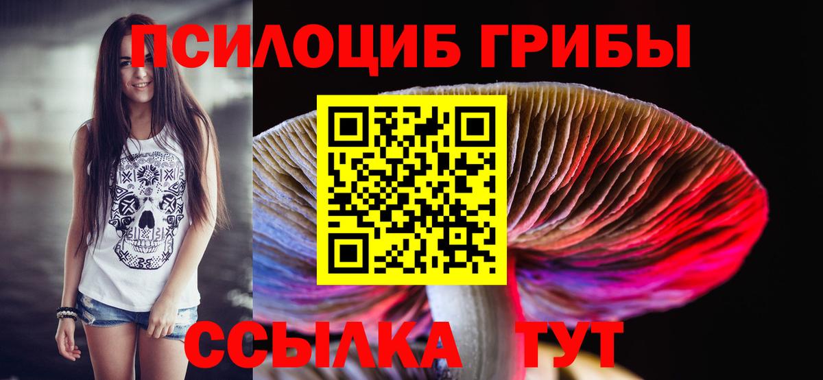 Камышлов  Псилоцибиновые грибы мухоморы  купить наркоту  Вход с VPN 